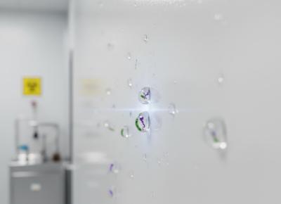 Anti-Fungal & Anti-Bacterial