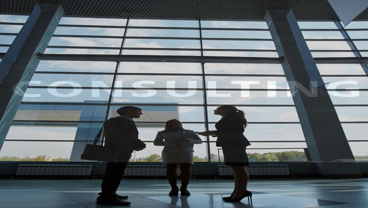 Consultancy image